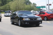 Black Mustang